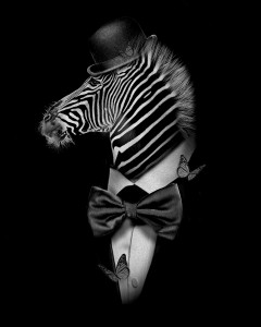 ZEBRE